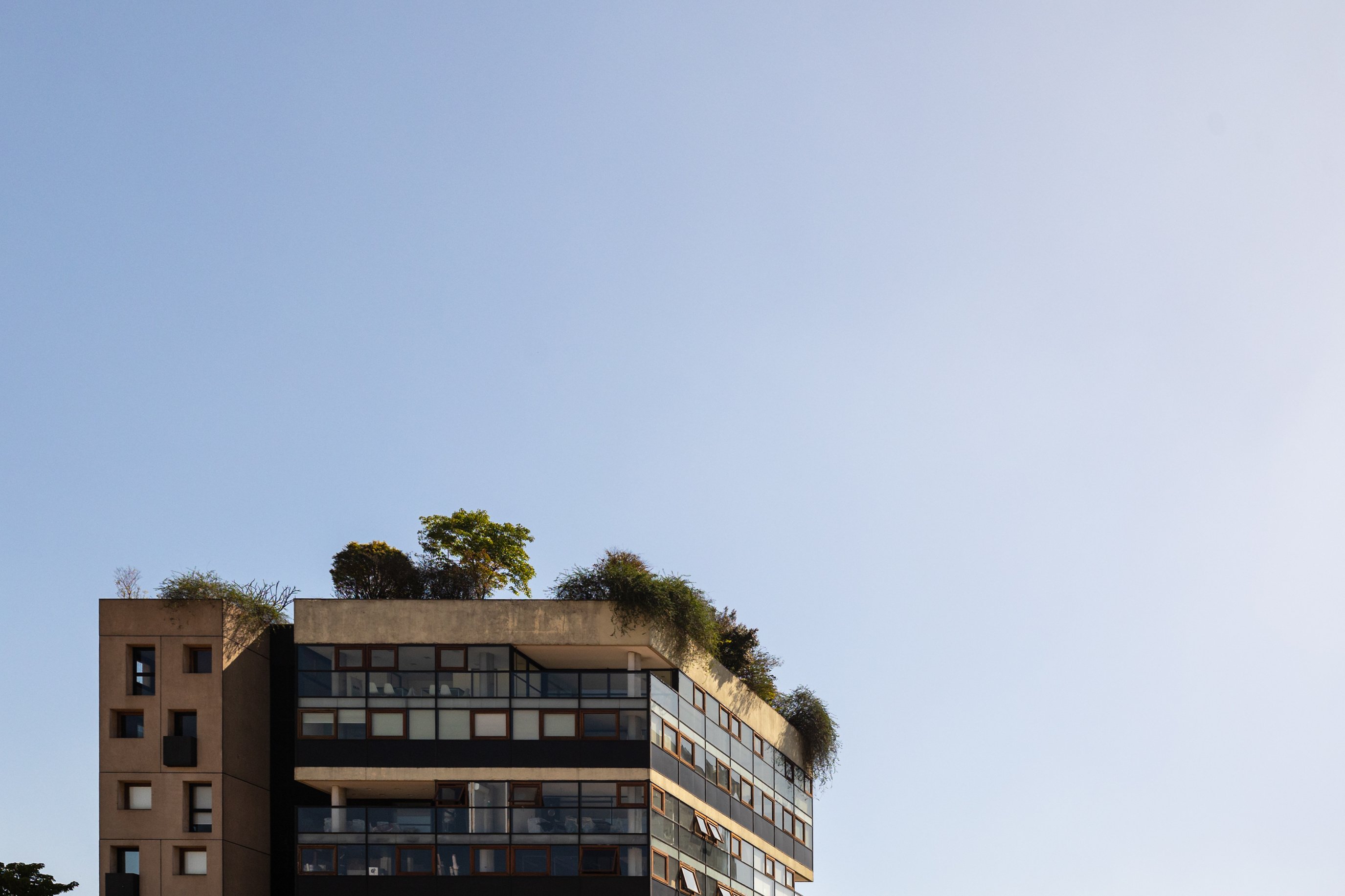 Facade of a Building with Plants on Rooftop